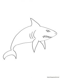 Read more about the article Desenhos de tubarões – tubarão para pintar 03
